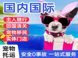 晋江航空物流国际宠物托运 【国